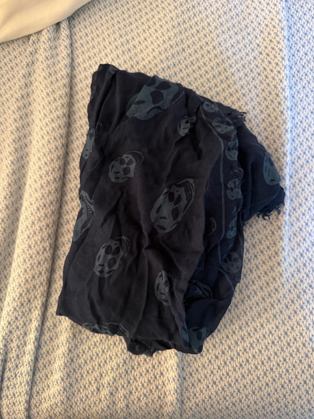 Alexander McQueen Navy Blue Skull Print Scarf